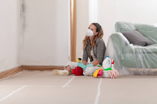 Reliable Mold Testing contractor in Middlesex, NC by WQB Mold Removal